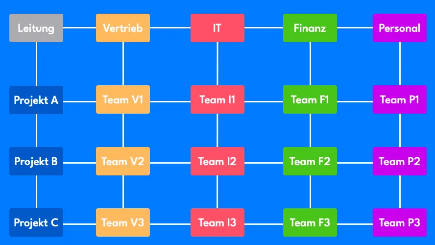 Matrix Organization Comprehensively Explained