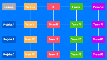Matrixorganisation