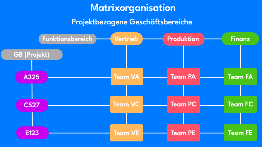 matrixorganisation projekt